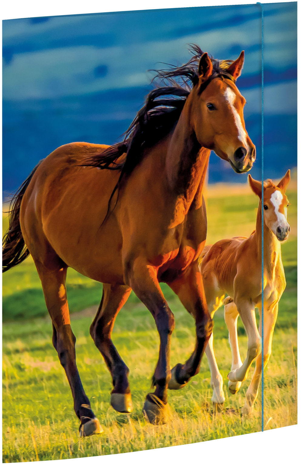 Zeichenmappe aus stabilem Karton, "Free Horses" für DIN A3