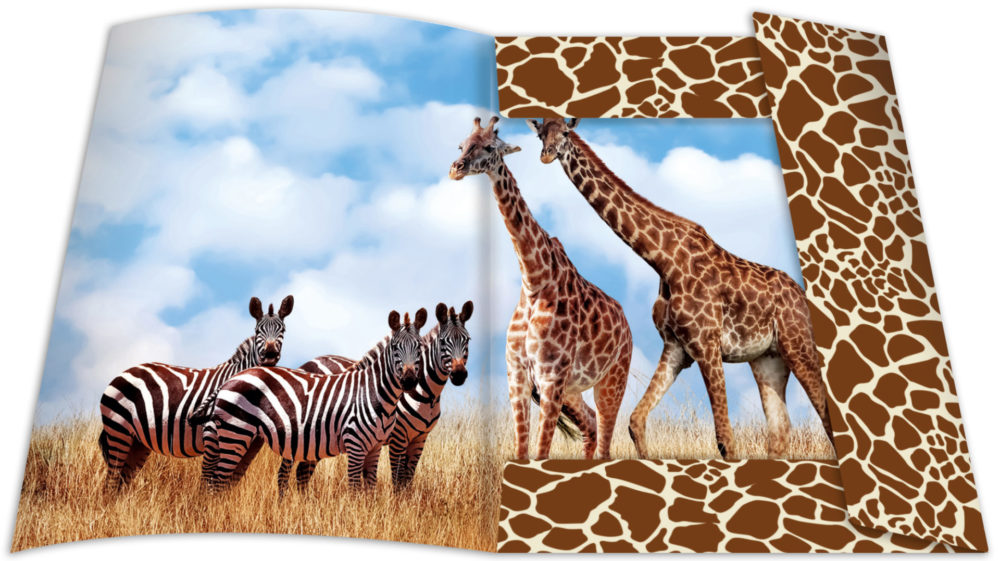 Zeichenmappe aus stabilem Karton, "Safari" für DIN A3 – Bild 2