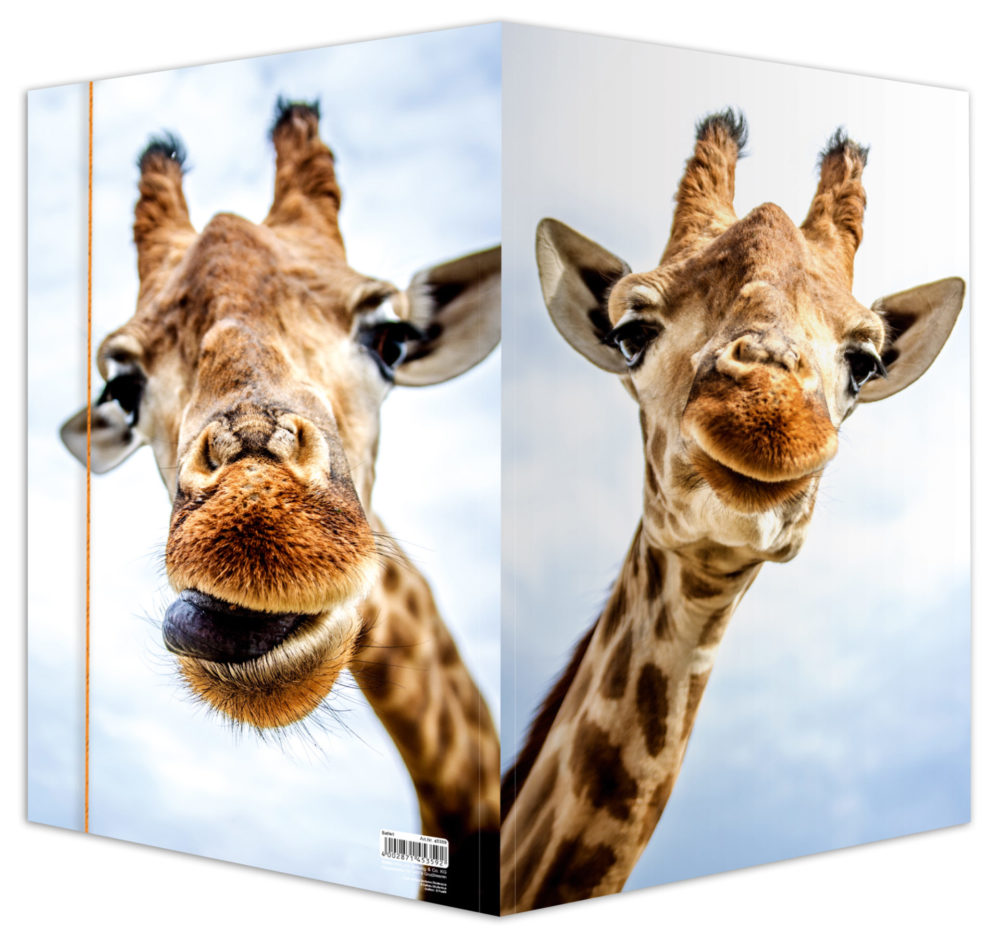 Zeichenmappe aus stabilem Karton, "Safari" für DIN A3 – Bild 4