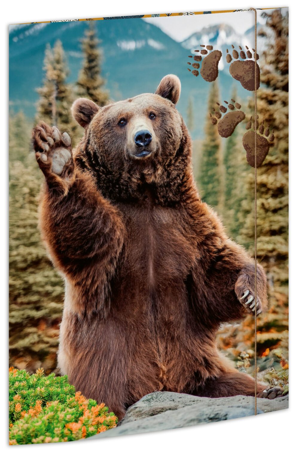 Zeichenmappe aus stabilem Karton, "Bär" für DIN A3