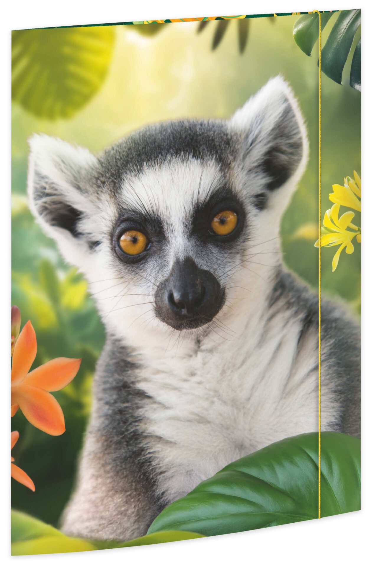 Zeichenmappe aus stabilem Karton, "Lemur" für DIN A3