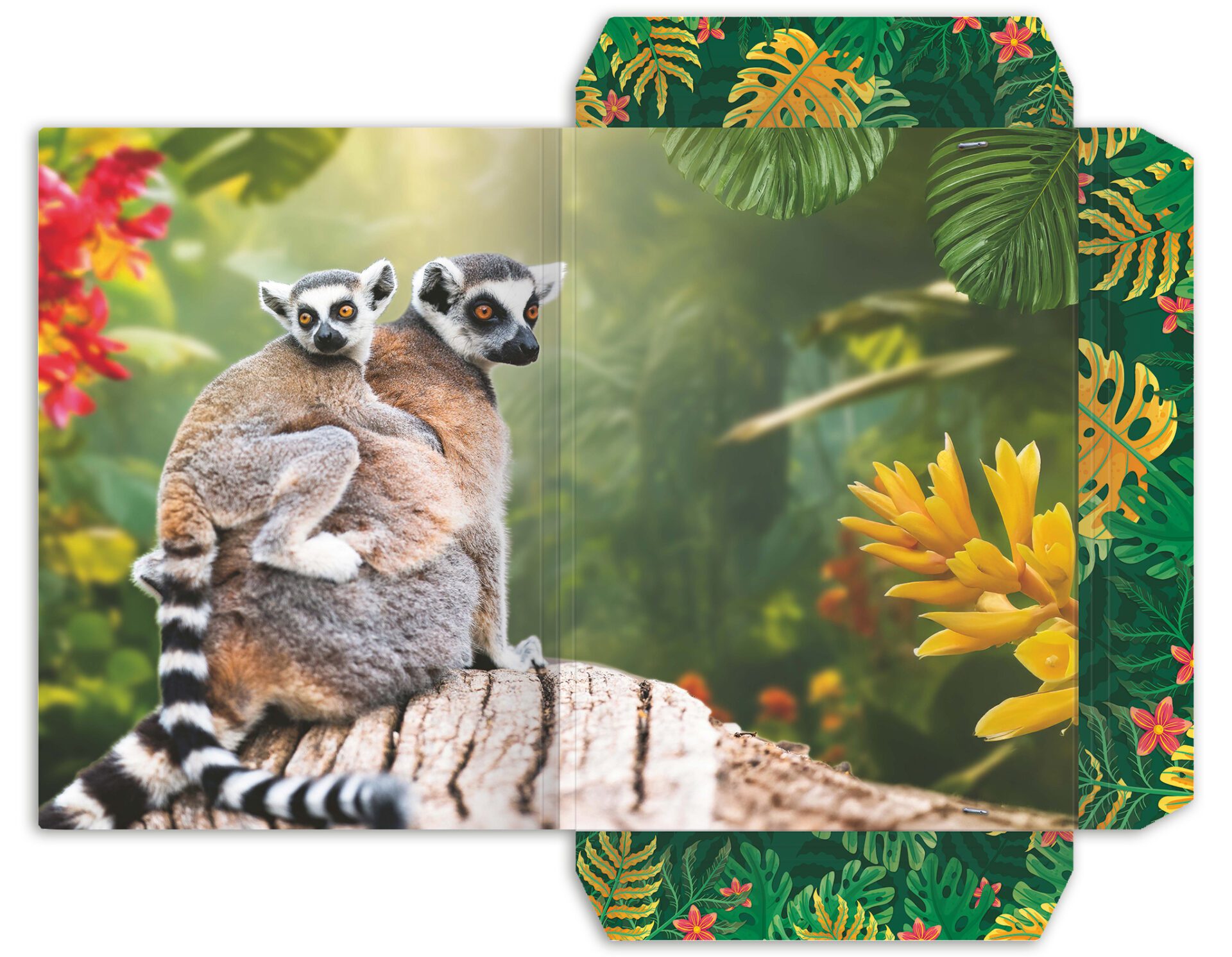 Zeichenmappe aus stabilem Karton, "Lemur" für DIN A3 – Bild 2