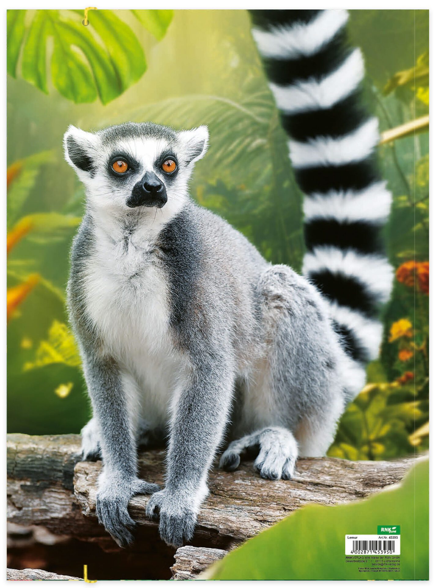Zeichenmappe aus stabilem Karton, "Lemur" für DIN A3 – Bild 3