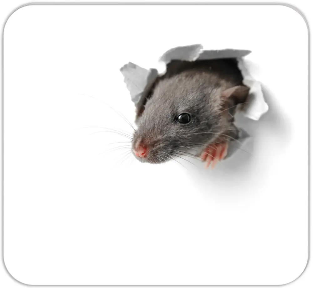 Mini-Schreibunterlage / Mousepad - Block "Mausi"