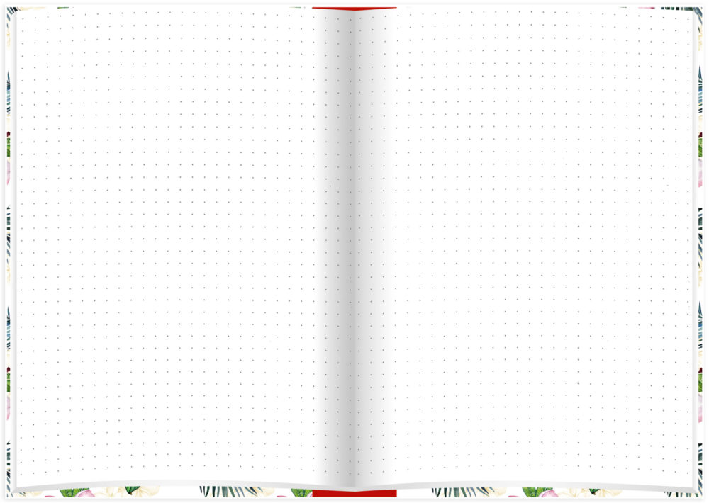 Notizbuch "Flamingo rot" aufgeklappt Lineatur: dotted