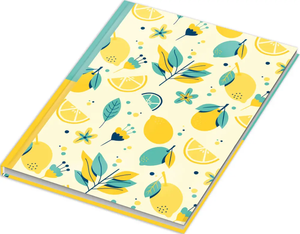 ClariS Report 5冊セット Kladde / Notizbuch 