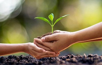 Zwei Hände halten Erde mit einer Pflanze in der Hand