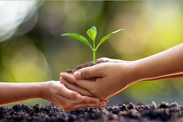 Nachhaltig_401x258 Zwei Hände halten Erde mit einer Pflanze in der Hand